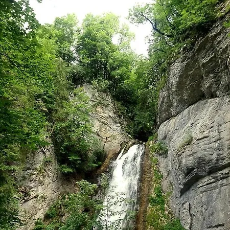 Lachat En Typique